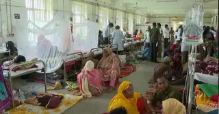 রাজশাহীতে বাড়ছে ডেঙ্গু রোগী, খোলা হয়েছে আলাদা ওয়ার্ড